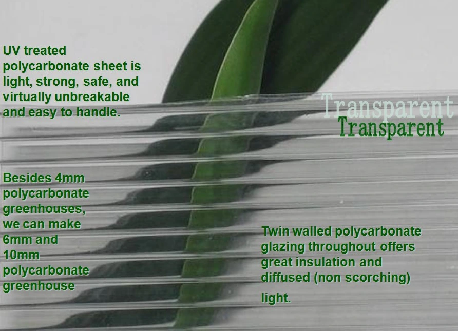 Classic Series Walk in Hobby Polycarbonate Sheet Green House with 6mm PC Sheet Rdgs0810-6mm