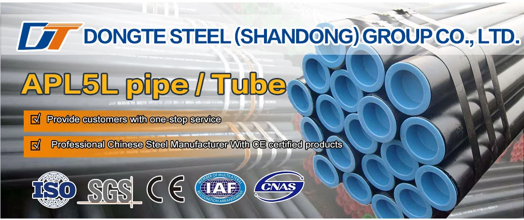 Hot Rolled Carbon Seamless Steel Pipe St37 St52 1020 1045 A106b Fluid Pipe