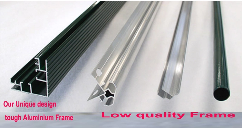 3 Meter Wide 10mm Polycarbonate Sheet Superior Series Greenhouse Rdga1014-10mm