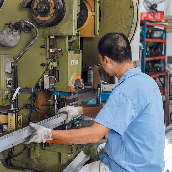 ホットセールプレミアムタイタン温室Gシリーズ